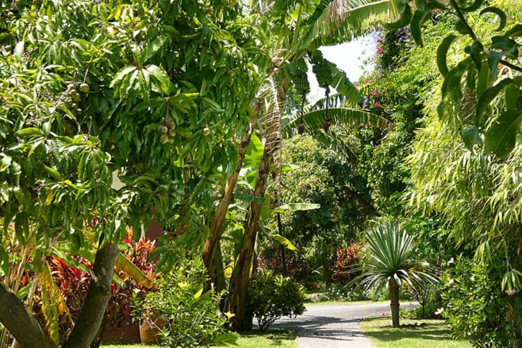 Botanical gardens7